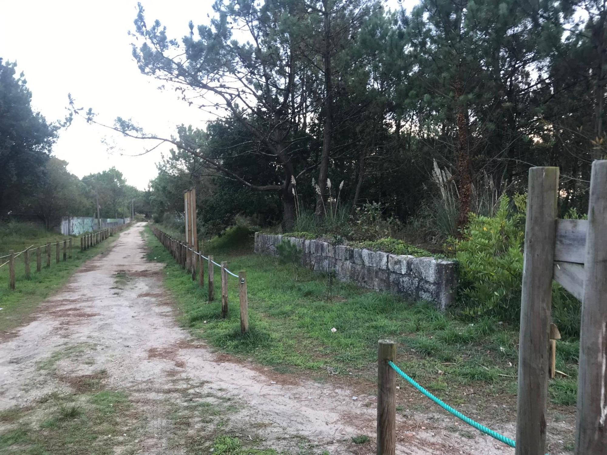 Arvore Cozy Com Jardim Extérieur photo
