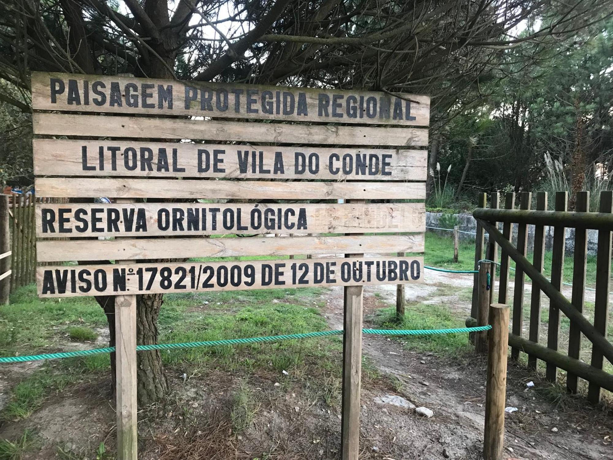 Arvore Cozy Com Jardim Extérieur photo